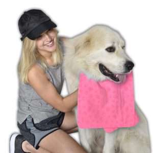 Pet Cooling Towels